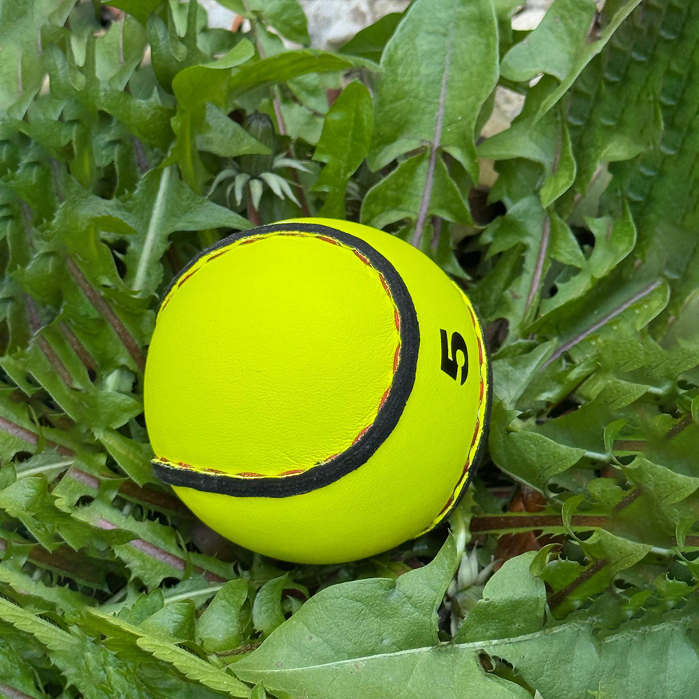 Hurling Ball