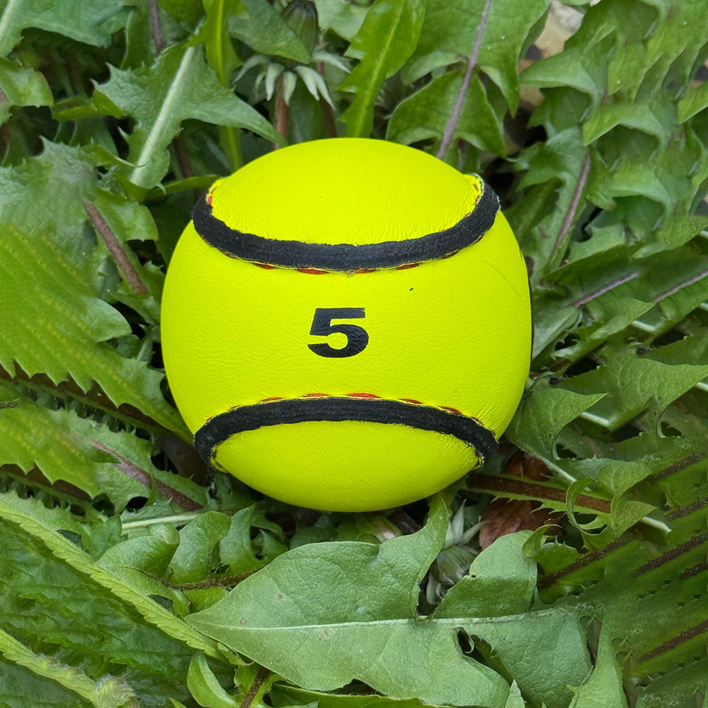 Hurling Ball