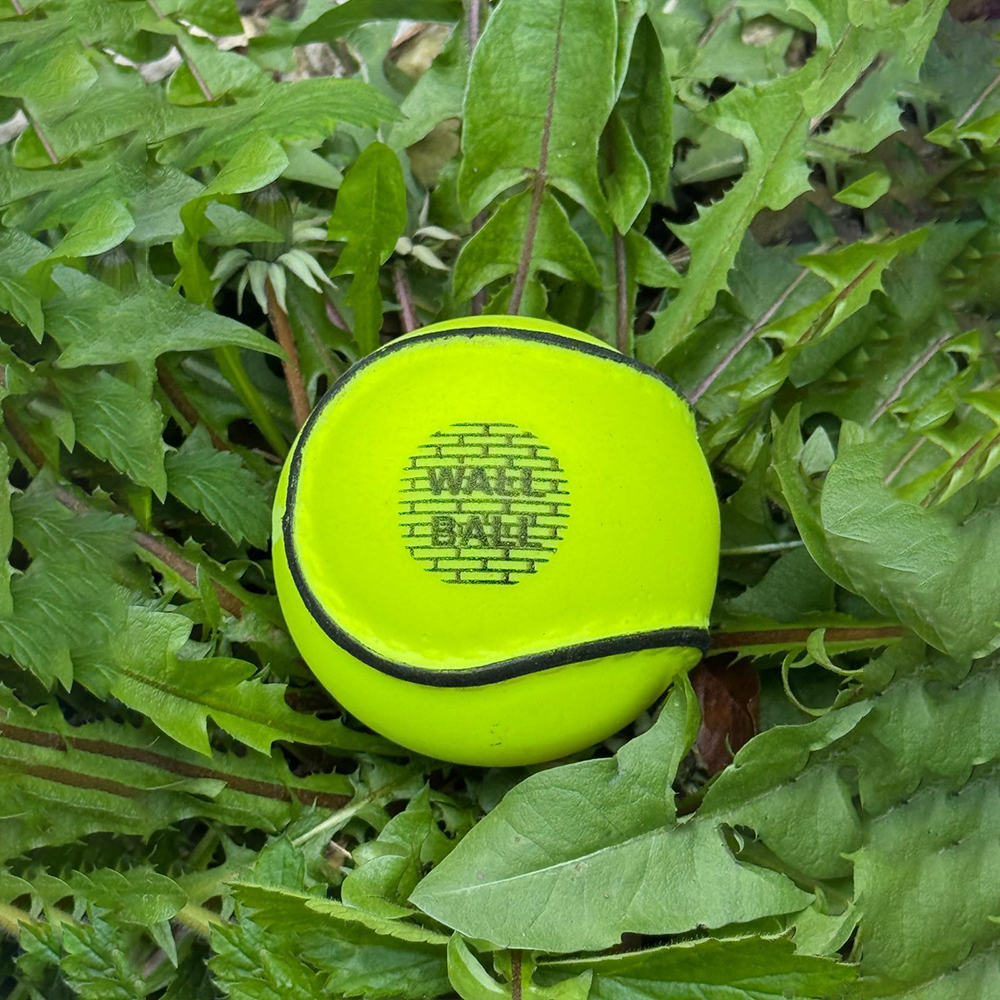 Hurling Ball